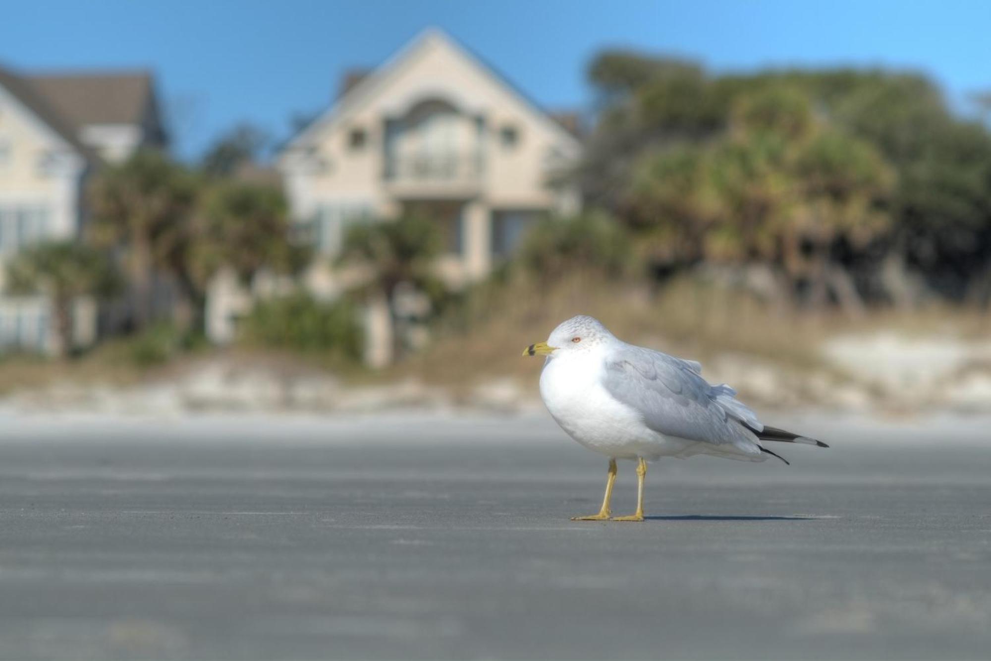 Racquet Club Villas Hilton Head Island Camera foto